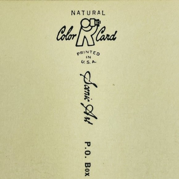 Cree Native American Chief Yellowface Vintage Unused Chrome Postcard Color Card - Picture 8 of 9